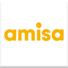Amisa Logo
