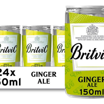 Britvic Ginger Ale Can 150ml