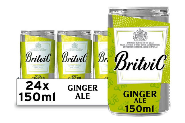 Britvic Ginger Ale Can 150ml