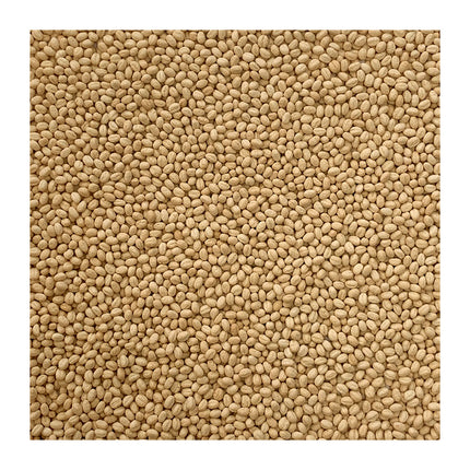Freee Organic & Gluten Free Rice Pops Bulk Sack 10kg