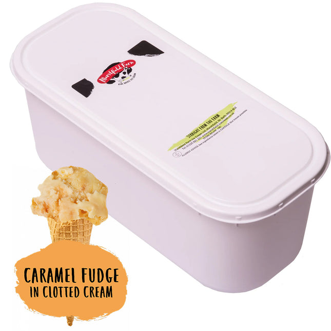 Marshfield Farm Real Dairy Ice Cream Caramel Fudge in Clotted Cream 5l