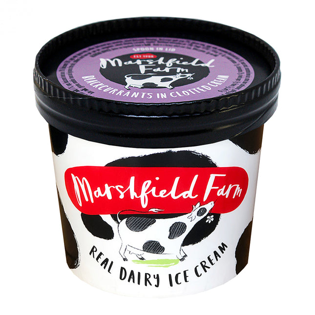 Marshfield Farm Real Dairy Ice Cream Blackcurrants in Clotted Cream 180ml