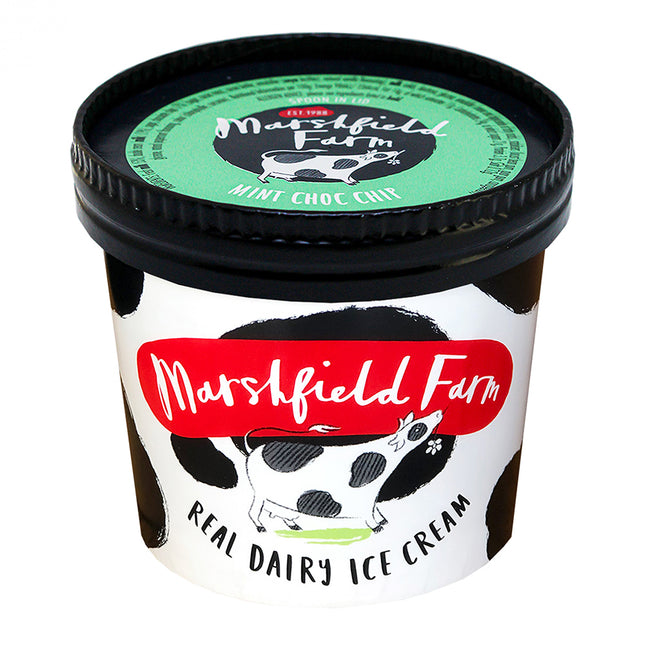Marshfield Farm Real Dairy Ice Cream Mint Choc Chip 180ml