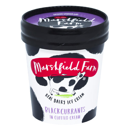 Marshfield Farm Real Dairy Ice Cream Blackcurrants in Clotted Cream 125ml