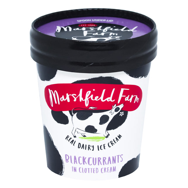 Marshfield Farm Real Dairy Ice Cream Blackcurrants in Clotted Cream 125ml