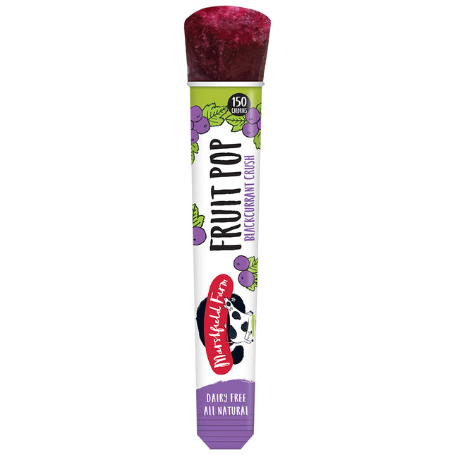 Marshfield Farm Pops Fruit Pop – Blackcurrant Crush 110ml