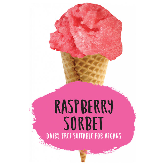 Marshfield Farm Plant Based Raspberry Sorbet 1l
