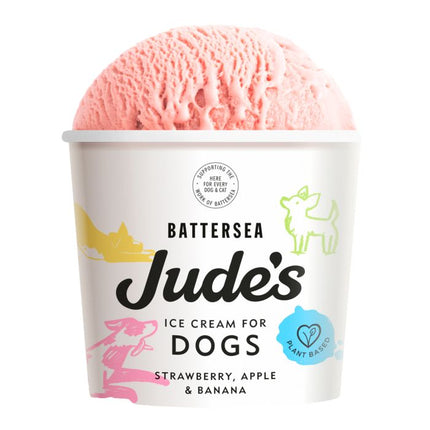 Jude's Ice Cream for Dogs - Ice Cream in Pots 90ml