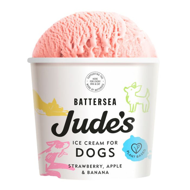 Jude's Ice Cream for Dogs - Ice Cream in Pots 90ml