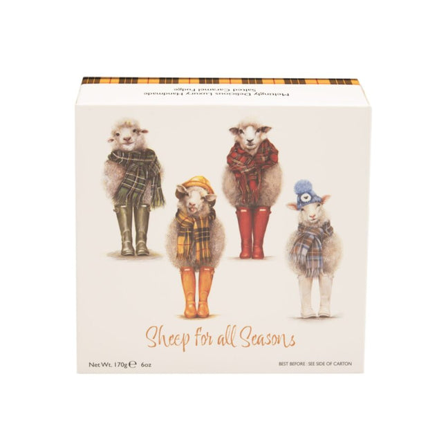 Gardiners Lana Mathieson Sheep For All Seasons Carton Of Salted Caramel Fudge 170g