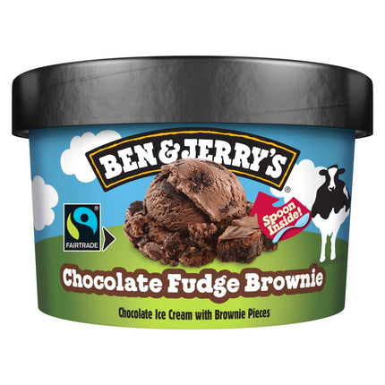 Ben & Jerry's Chocolate Fudge Brownie 100ml