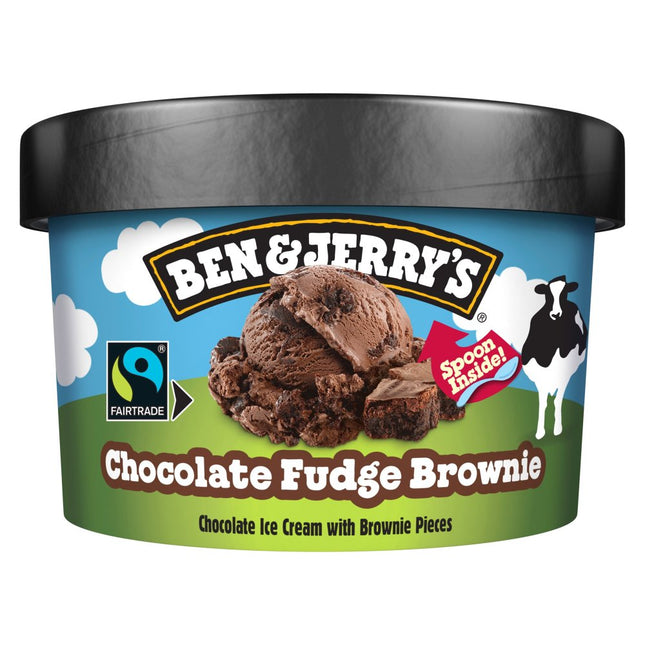 Ben & Jerry's Chocolate Fudge Brownie 100ml