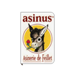 Asinus